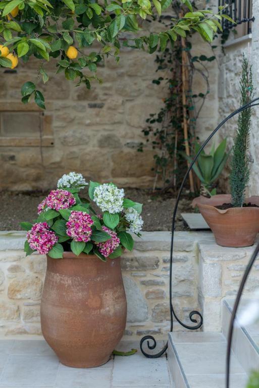 Cretan Rhapsody - Rustick Villa In Siva Sivas Exterior photo